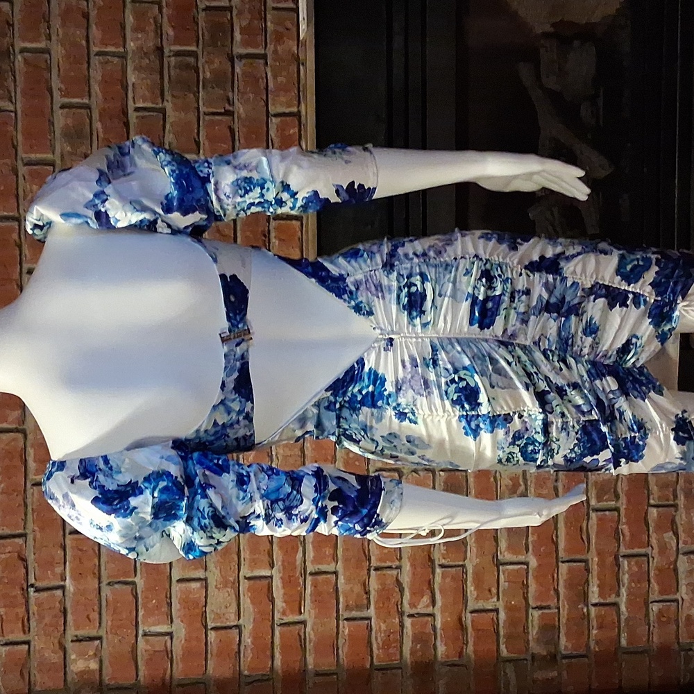 For Love And Lemons Blue and White Floral Dress - Picture 4 of 12